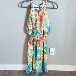Enfocus Studio Multi Color Floral Flowy Sundress Size 4